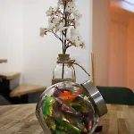 La Charmante Maison Cosy A *